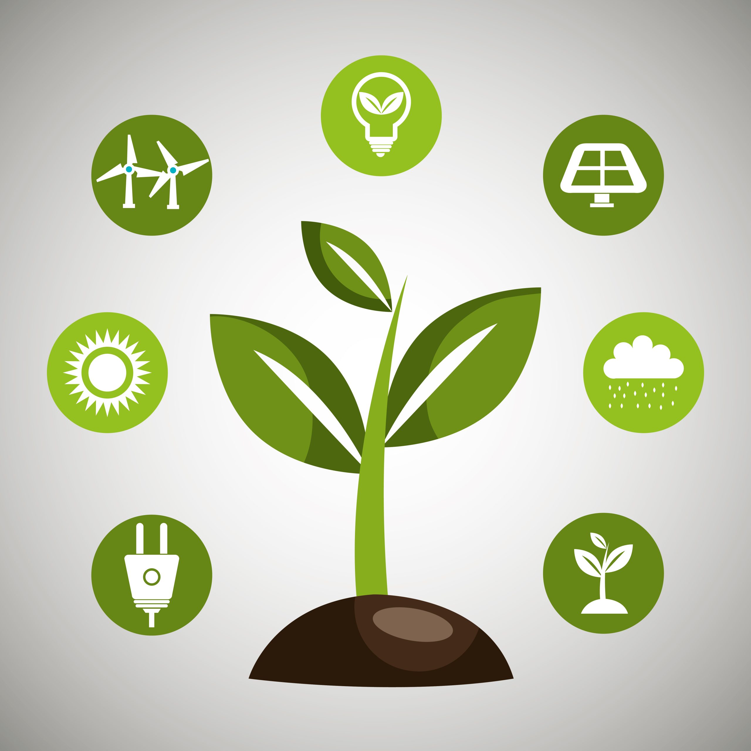 Agroplus Field Consultation