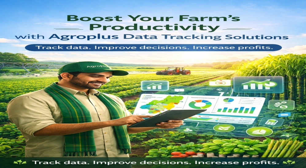 Farmer using Agroplus data tracking solutions with digital dashboard to monitor farm productivity and crop performance